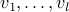 v_1,ldots,v_{l}