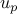 u_p